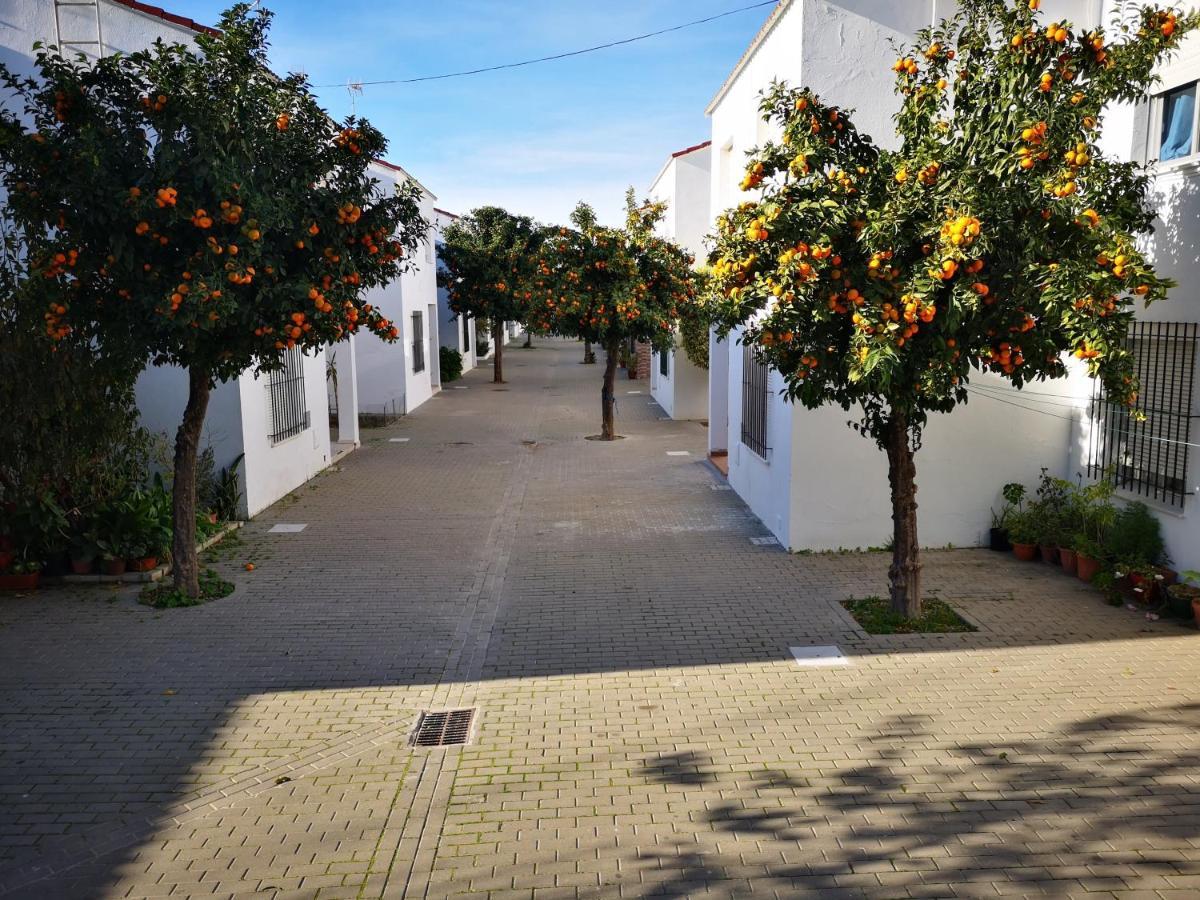 Hermoso Apartamento En Conil Conil De La Frontera Bagian luar foto
